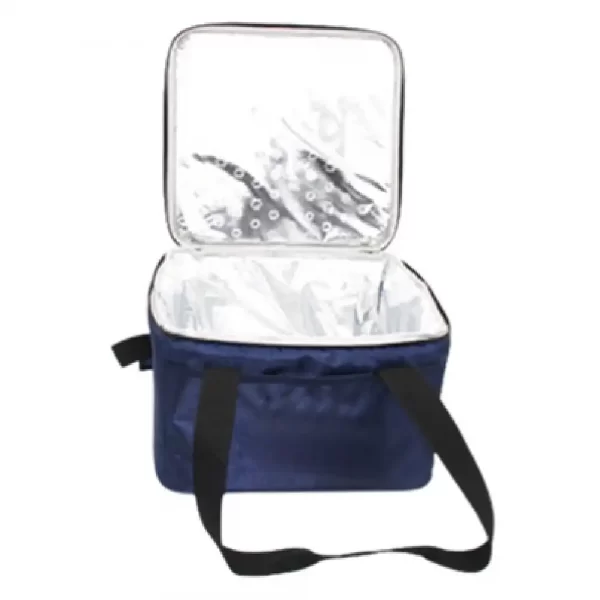 cooler bag