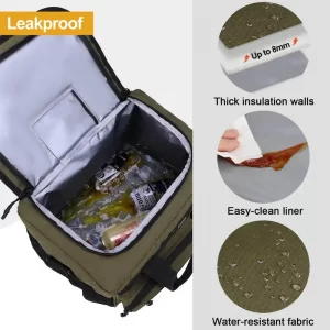 lunch cooler bag